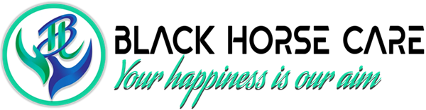 Black Horse Care company logo.